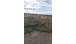 Aste giudiziarie immobiliari online - 10.0