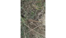 Aste giudiziarie immobiliari online - 2.0