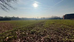 Aste giudiziarie immobiliari online - 9.0