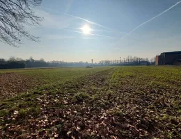 Aste giudiziarie immobiliari online - 9.0