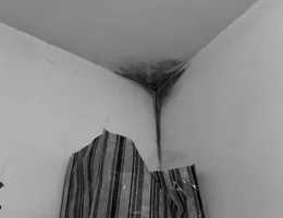 Aste giudiziarie immobiliari online - 2.0