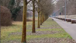 Aste giudiziarie immobiliari online - 6.0