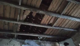 Aste giudiziarie immobiliari online - 7.0