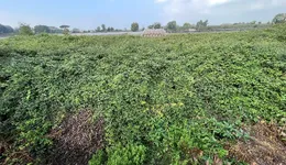 Aste giudiziarie immobiliari online - 2.0