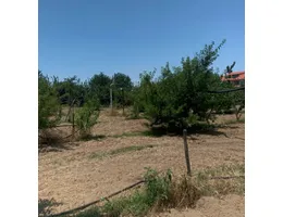 Aste giudiziarie immobiliari online - 10.0