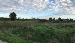 Aste giudiziarie immobiliari online - 5.0