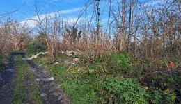 Aste giudiziarie immobiliari online - 9.0