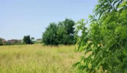 Aste giudiziarie immobiliari online - 2.0