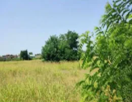 Aste giudiziarie immobiliari online - 2.0