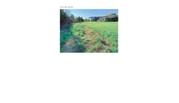 Aste giudiziarie immobiliari online - 9.0
