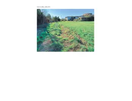 Aste giudiziarie immobiliari online - 7.0