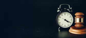 Aste giudiziarie immobiliari e fallimentari online - 1.7