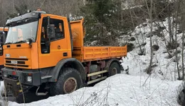 Aste giudiziarie mobiliari online - 9.0