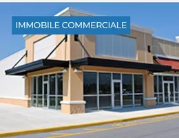 Aste giudiziarie immobiliari online - 6.0