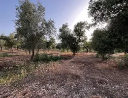 Aste giudiziarie immobiliari online - 5.0