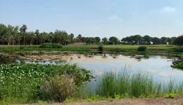 Aste giudiziarie beni immateriali online - 2.0