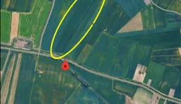 Aste giudiziarie immobiliari online - 10.0