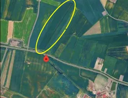 Aste giudiziarie immobiliari online - 11.0