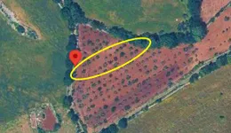 Aste giudiziarie immobiliari online - 11.0