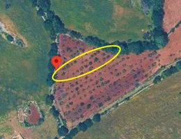 Aste giudiziarie immobiliari online - 12.0