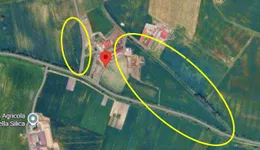 Aste giudiziarie immobiliari online - 4.0