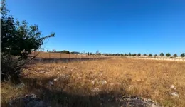 Aste giudiziarie immobiliari online - 2.0