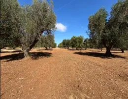 Aste giudiziarie immobiliari online - 10.0