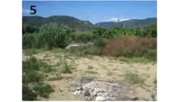 Aste giudiziarie immobiliari online - 5.0