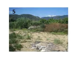 Aste giudiziarie immobiliari online - 2.0