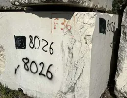Aste giudiziarie mobiliari online - 11.0