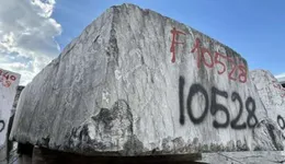 Aste giudiziarie mobiliari online - 7.0