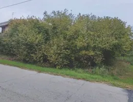 Aste giudiziarie immobiliari online - 4.0