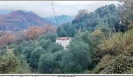 Aste giudiziarie immobiliari online - 11.0