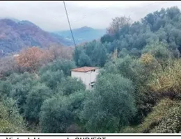 Aste giudiziarie immobiliari online - 3.0
