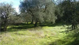 Aste giudiziarie immobiliari online - 5.0