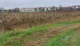 Aste giudiziarie immobiliari online - 4.0