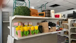 Aste giudiziarie mobiliari online - 5.0