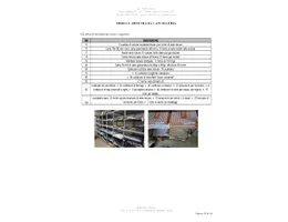 Aste giudiziarie mobiliari online - 6.0