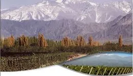 Aste giudiziarie immobiliari online - 12.0