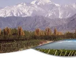 Aste giudiziarie immobiliari online - 12.0