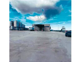 Aste giudiziarie beni immateriali online - 1.0