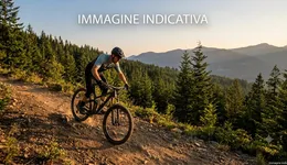 Aste giudiziarie mobiliari online - 8.0