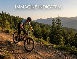 Aste giudiziarie mobiliari online - 11.0