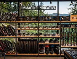 Aste giudiziarie mobiliari online - 10.0