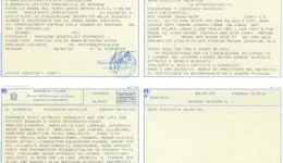 Aste giudiziarie mobiliari online - 9.0