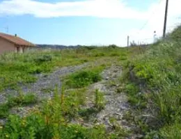 Aste giudiziarie immobiliari online - 4.0