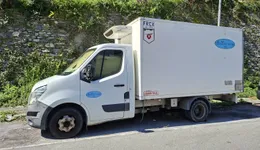 Aste giudiziarie mobiliari online - 5.0