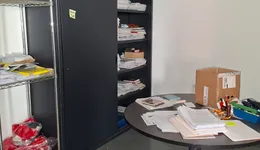 Aste giudiziarie mobiliari online - 11.0