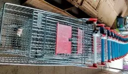 Aste giudiziarie mobiliari online - 11.0