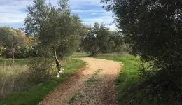 Aste giudiziarie immobiliari online - 8.0